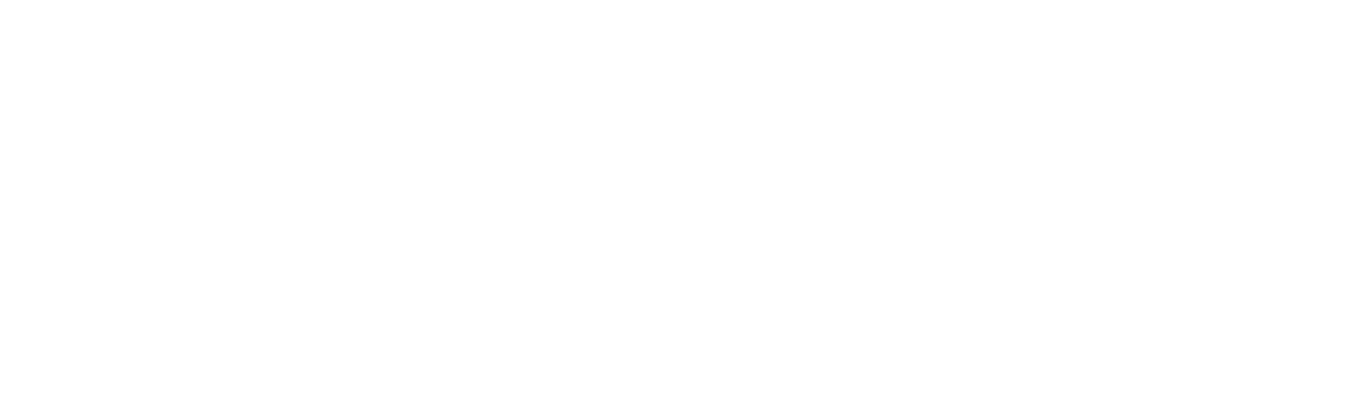 niceGastro logo